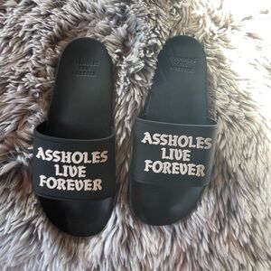 ALF slides